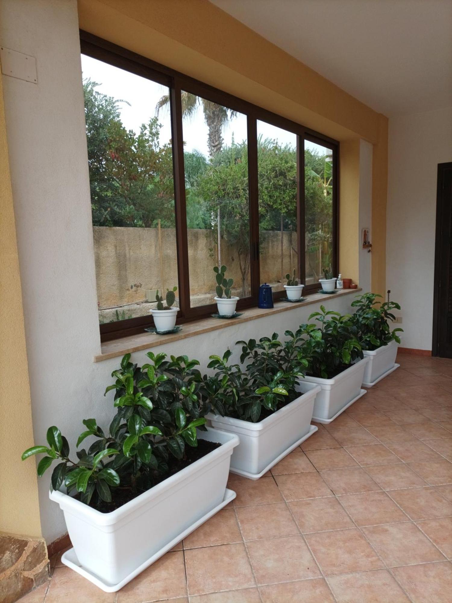 Acasammare Apartment Marsala Exterior foto